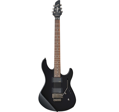 electric guitar RGX420DZll